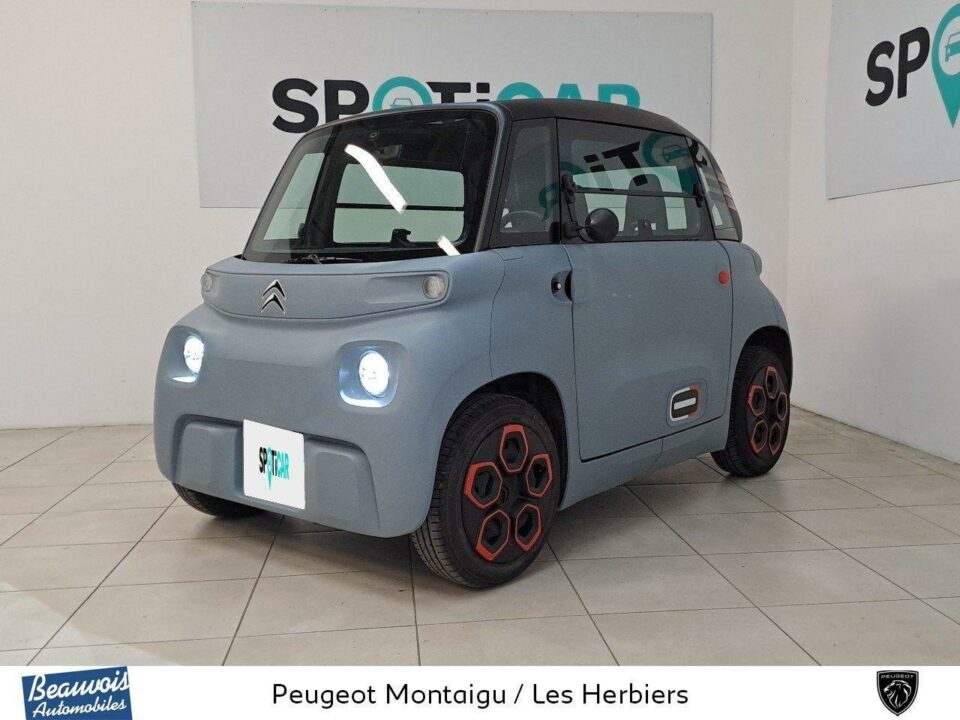 CITROENAMIVO0217543469.jpg