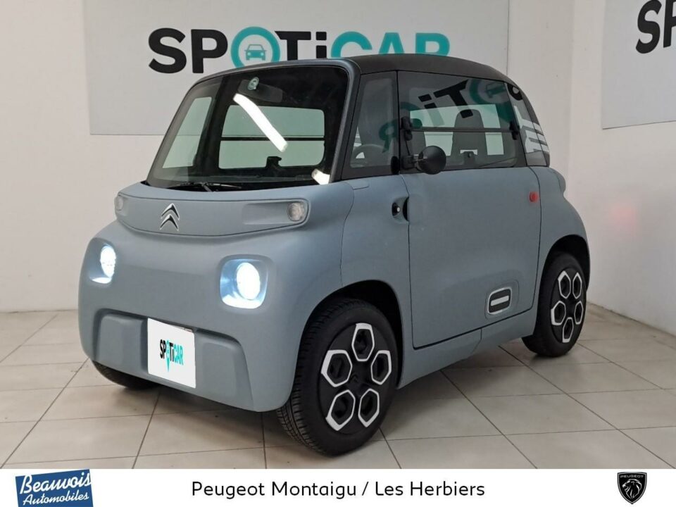 CITROENAMIVO0217742474.jpg