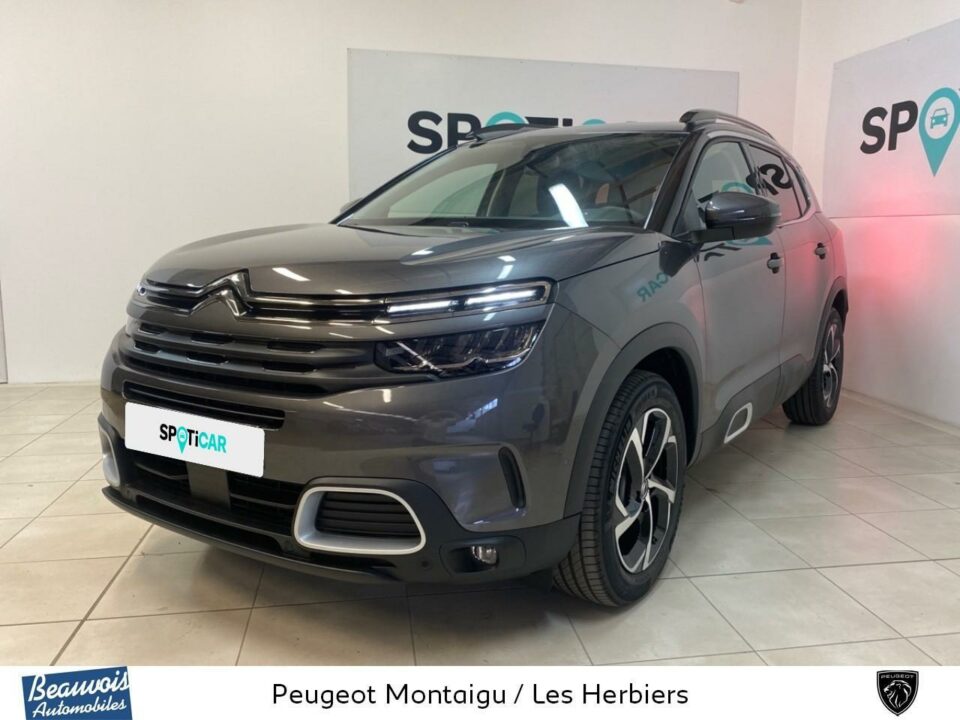 CITROENC5 AIRCROSSVO020493198.jpg