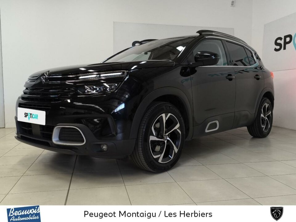 CITROENC5 AIRCROSSVO0215443149.jpg