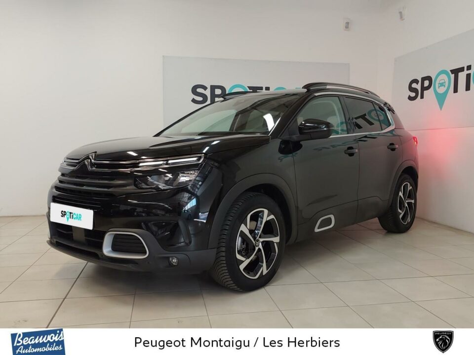 CITROENC5 AIRCROSSVO0220923786.jpg