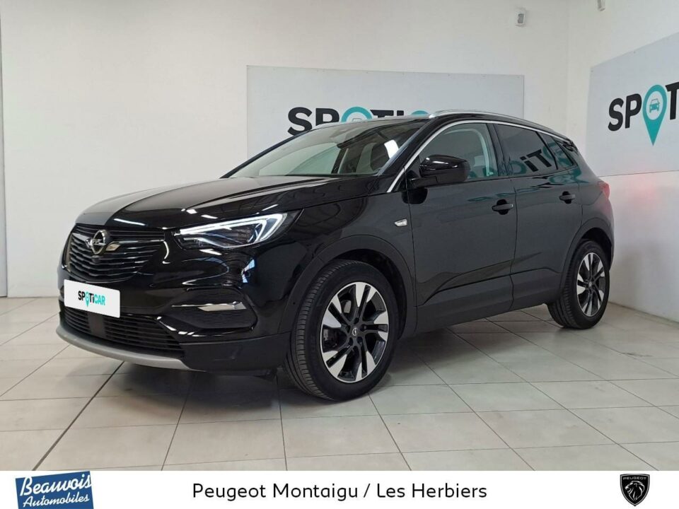 OPELGRANDLAND XVO0217733503.jpg