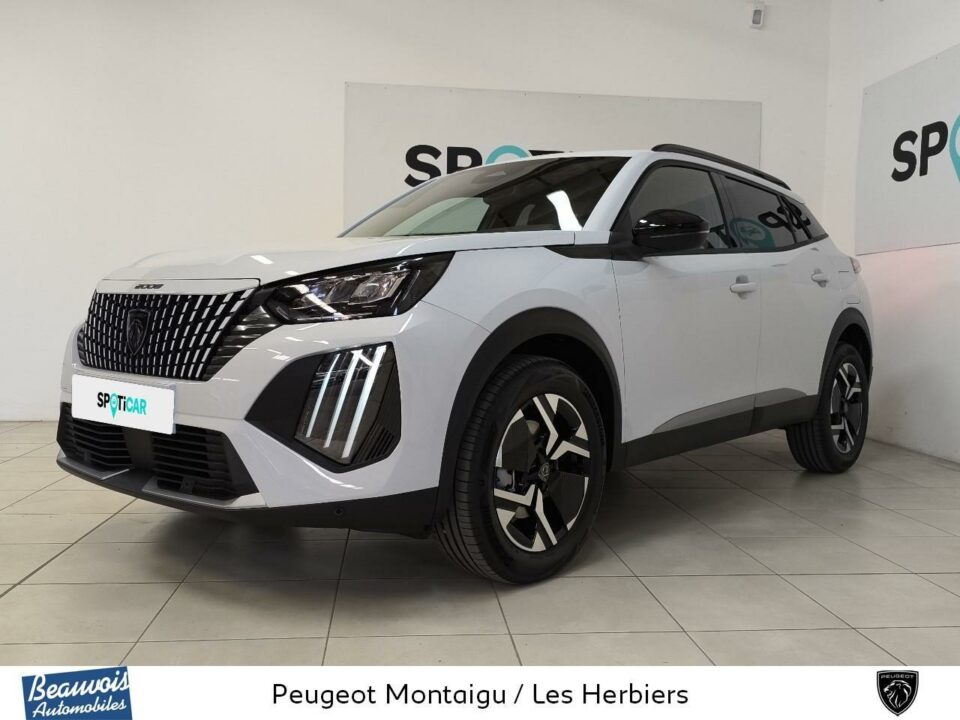 PEUGEOT2008VD008489205.jpg