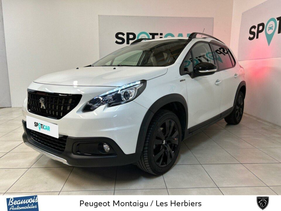 PEUGEOT2008VO0212521492.jpg