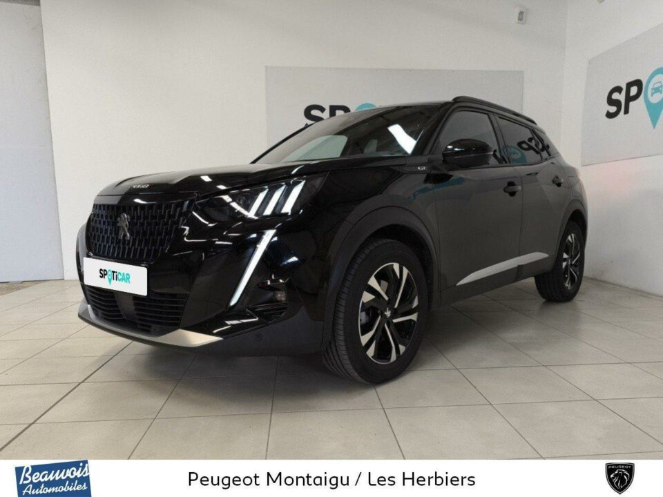 PEUGEOT2008VO0216684371.jpg