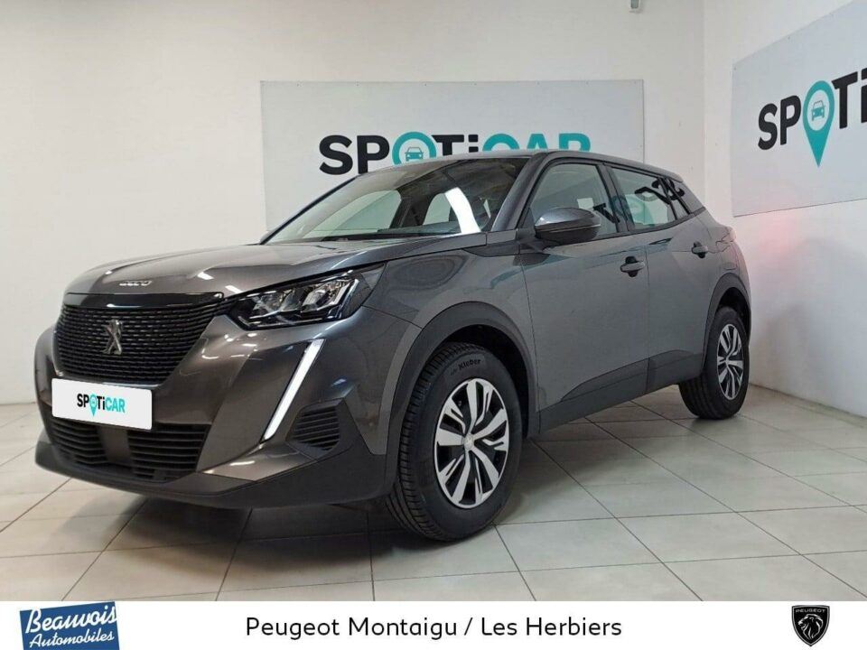 PEUGEOT2008VO0216982271.jpg