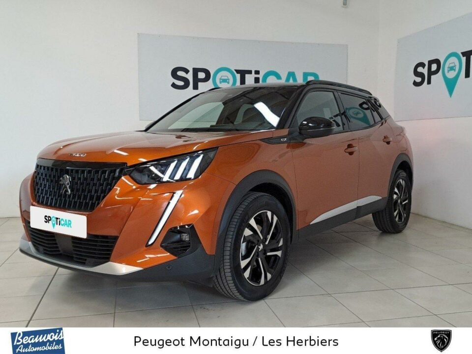 PEUGEOT2008VO0217413901.jpg