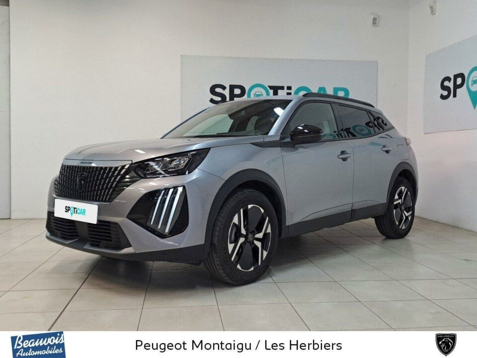 PEUGEOT2008VO0217863507.jpg