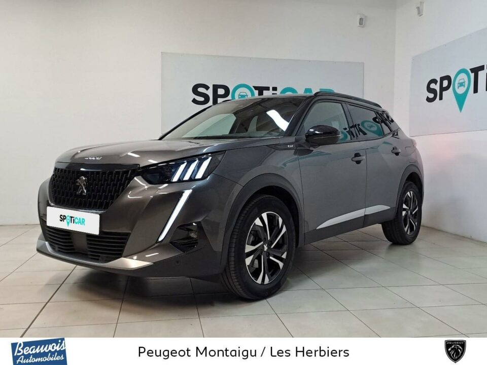 PEUGEOT2008VO0217983616.jpg
