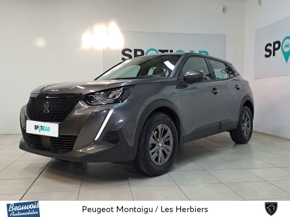 PEUGEOT2008VO0218233597.jpg