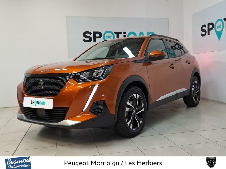 PEUGEOT2008VO0218263521.jpg