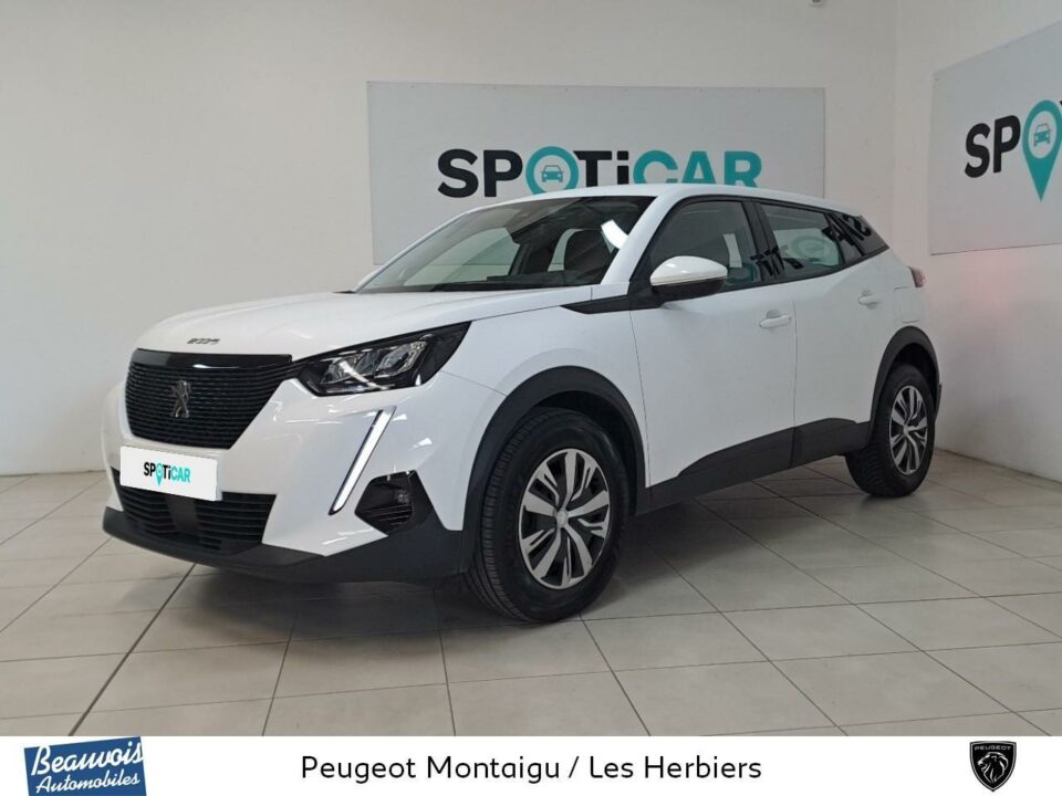 PEUGEOT2008VO0218462989.jpg