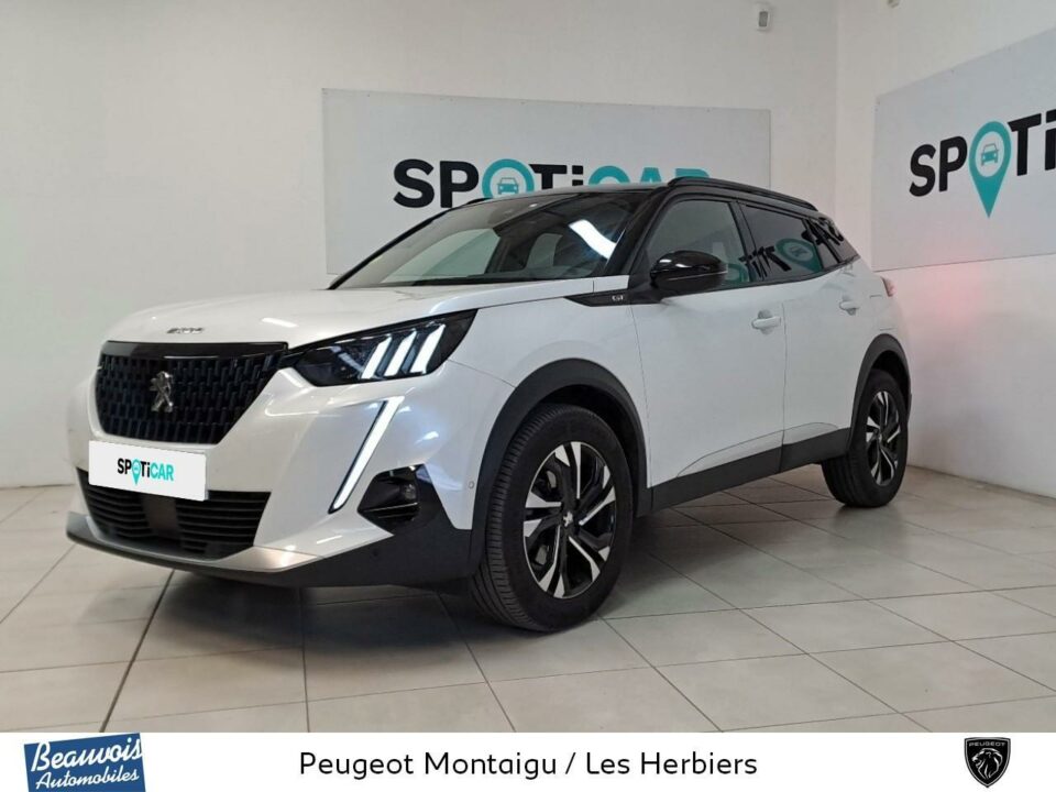 PEUGEOT2008VO0218562760.jpg