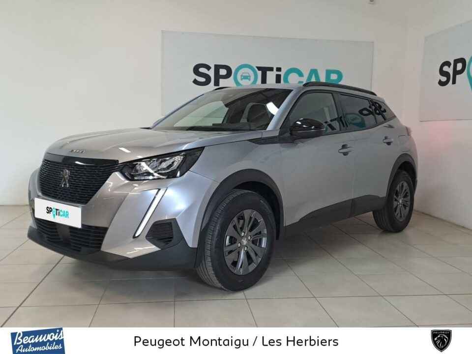 PEUGEOT2008VO0218893236.jpg