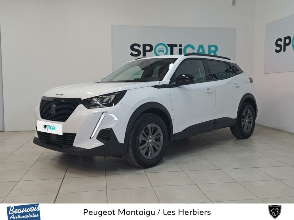 PEUGEOT2008VO0219072860.jpg