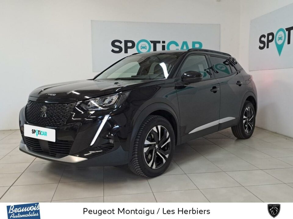 PEUGEOT2008VO0219253229.jpg