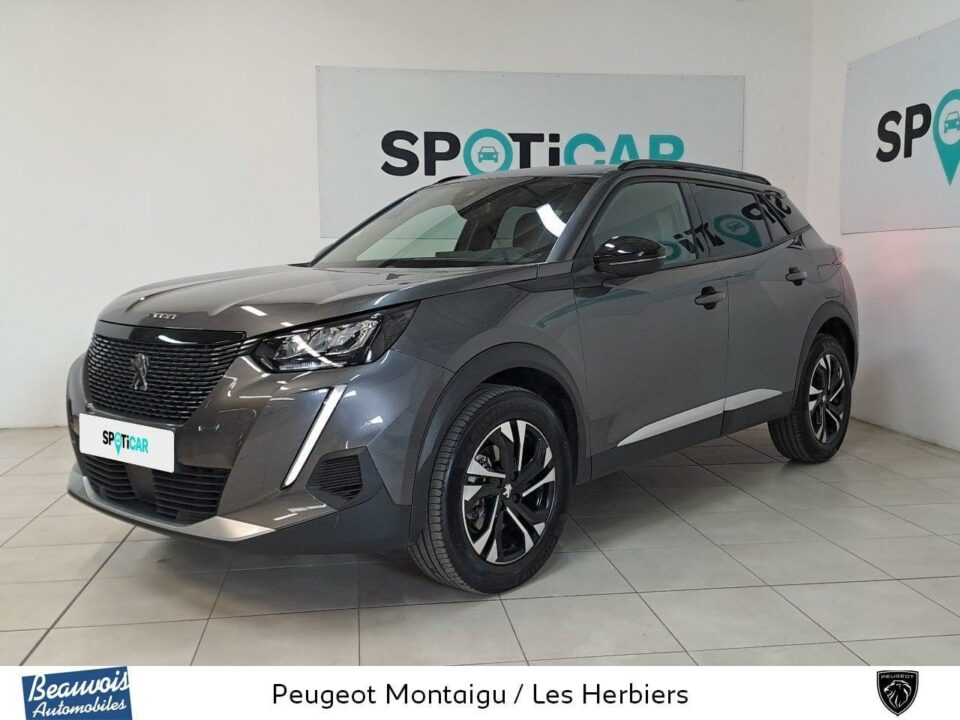 PEUGEOT2008VO0219333313.jpg