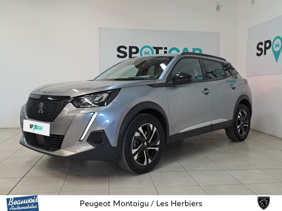 PEUGEOT2008VO0219693537.jpg
