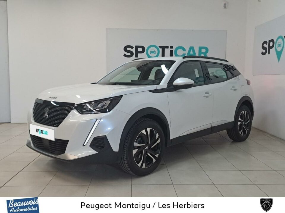PEUGEOT2008VO0219843492.jpg