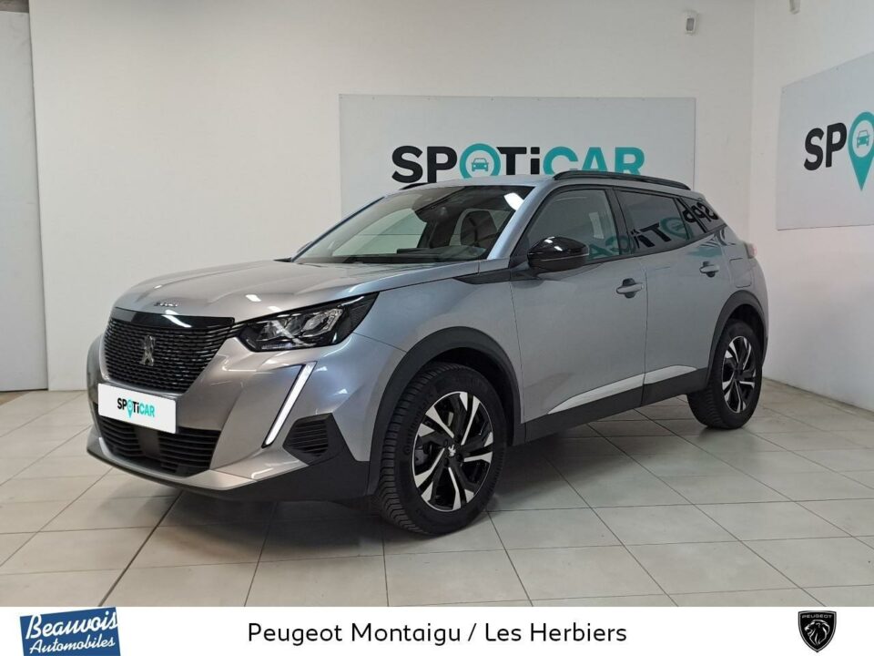PEUGEOT2008VO0219893588.jpg