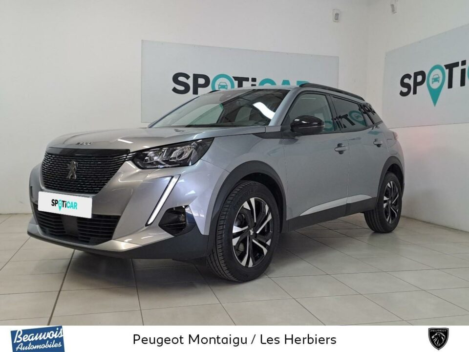 PEUGEOT2008VO0220073608.jpg