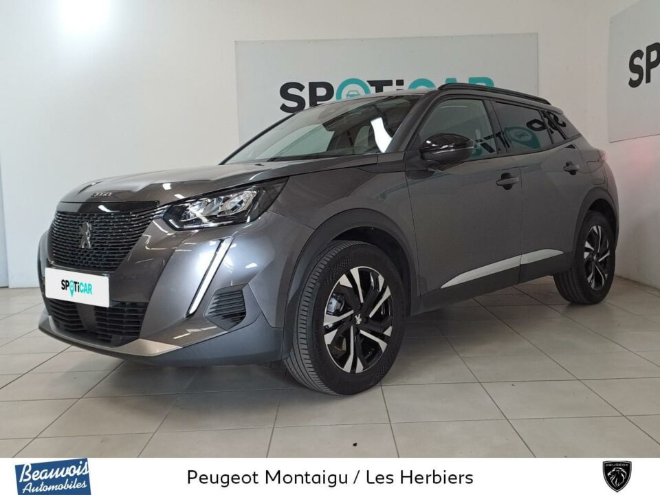 PEUGEOT2008VO0220883399.jpg