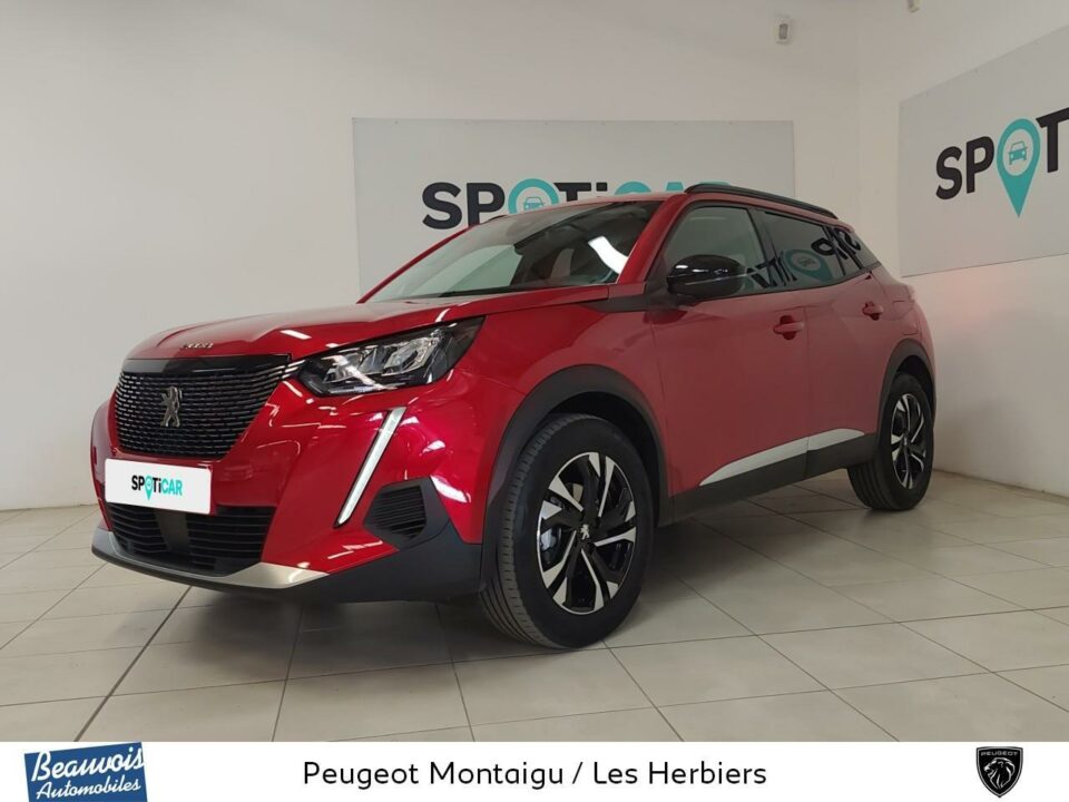 PEUGEOT2008VO0220983810.jpg