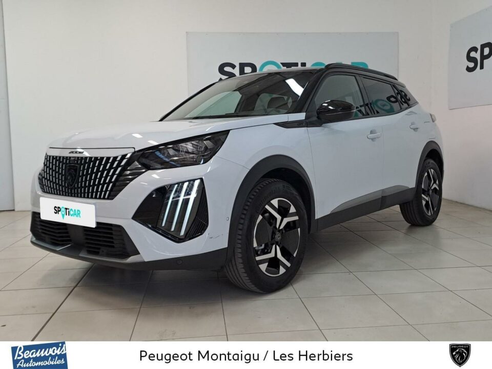 PEUGEOT2008VO0221353604.jpg
