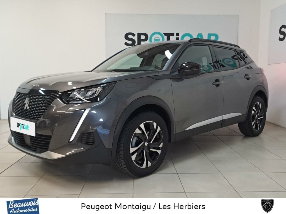 PEUGEOT2008VO0221373646.jpg
