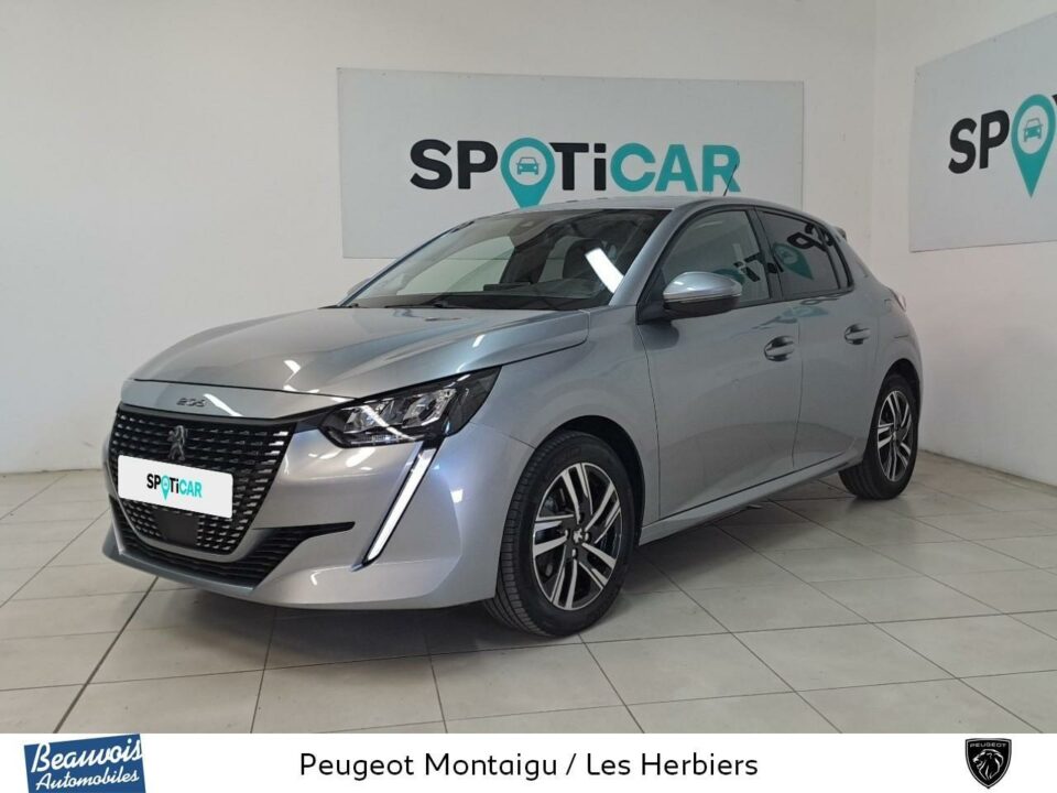 PEUGEOT208VO0218002515.jpg