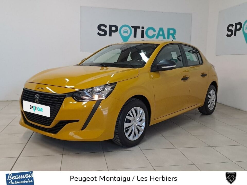 PEUGEOT208VO0219103227.jpg
