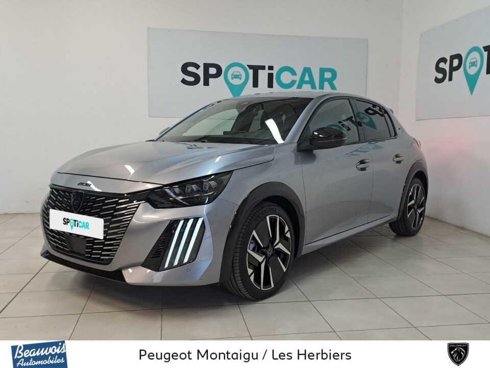 PEUGEOT208VO0219903485.jpg
