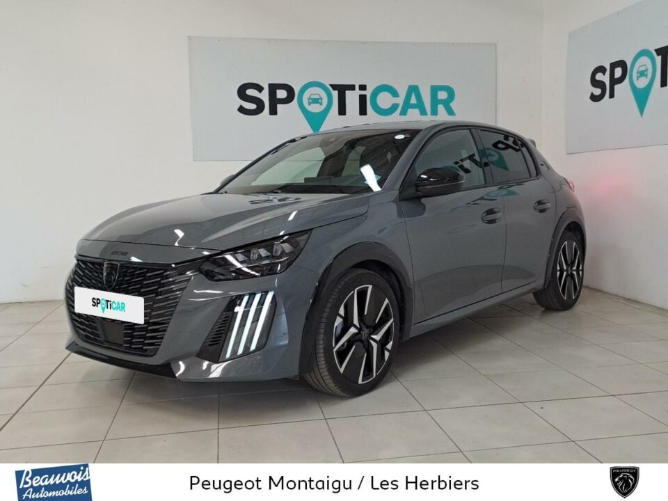 PEUGEOT208VO0219913505.jpg