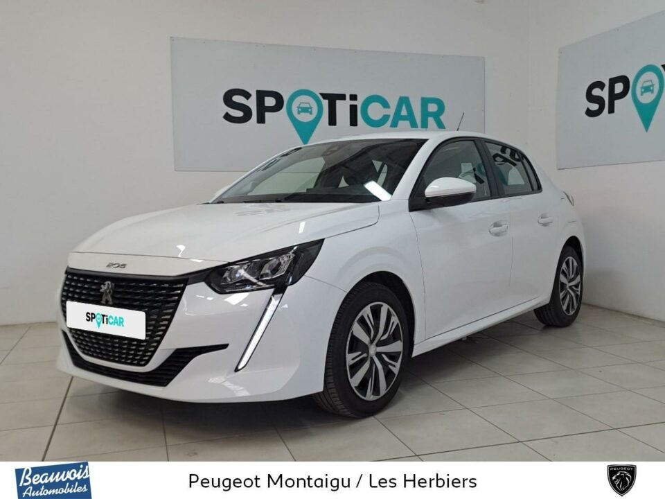 PEUGEOT208VO0220443831.jpg