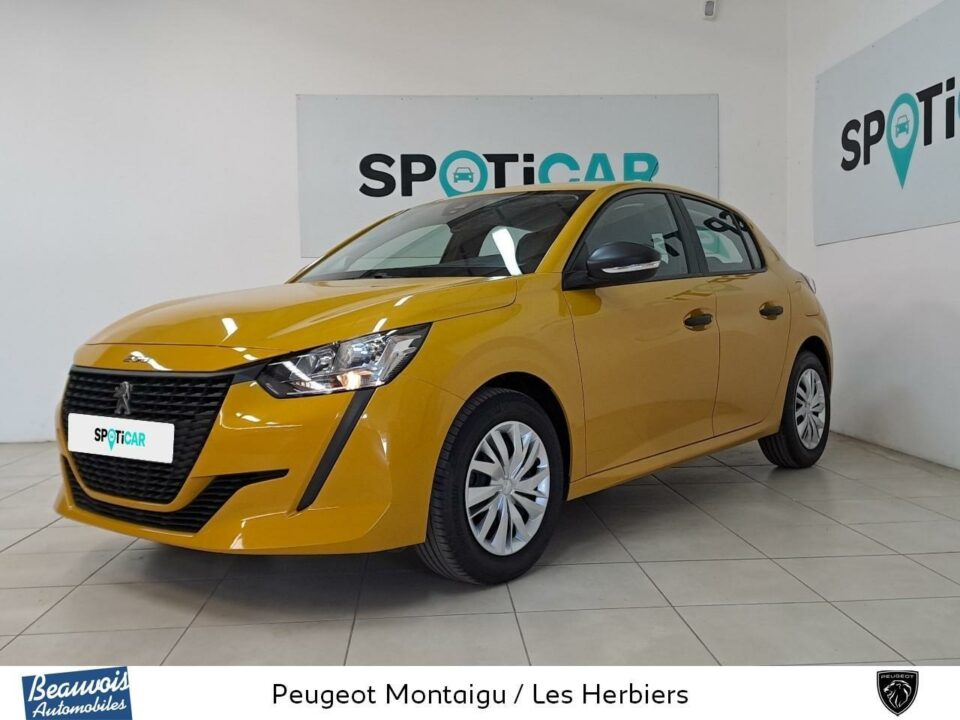 PEUGEOT208VO0220473685.jpg