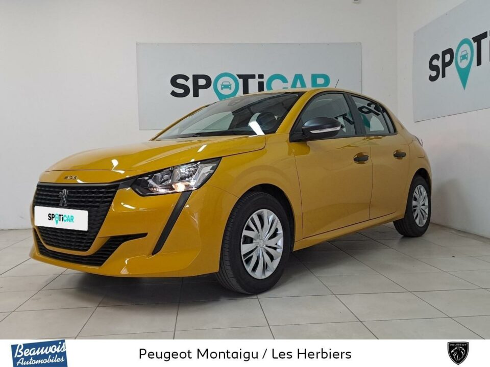 PEUGEOT208VO0220823738.jpg