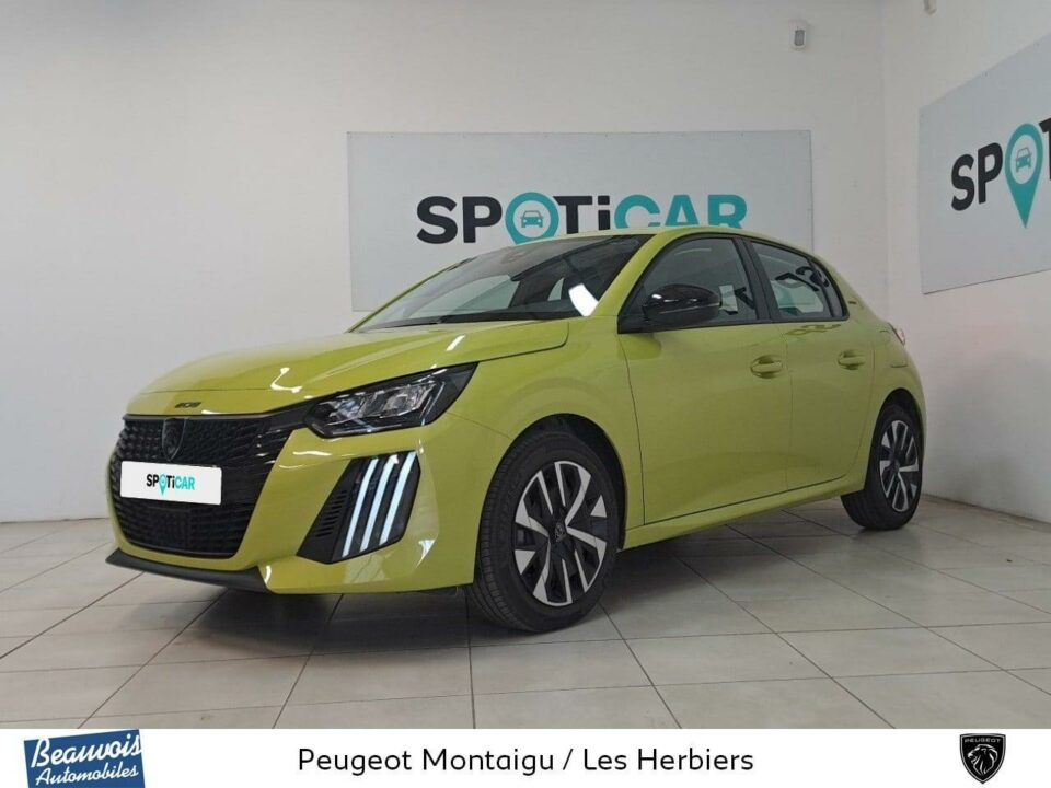 PEUGEOT208VO0220833758.jpg