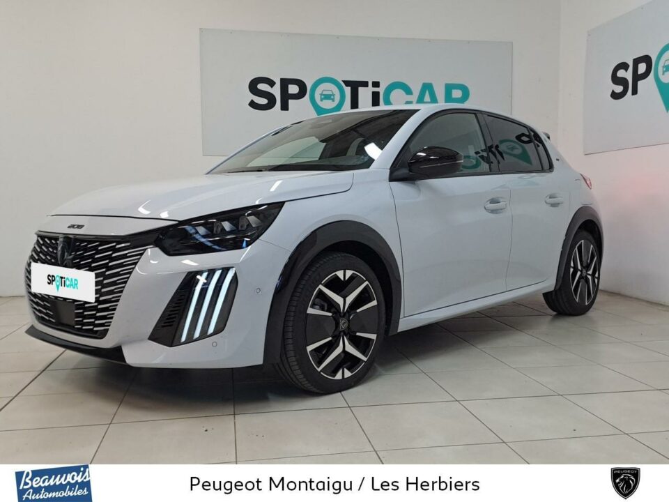 PEUGEOT208VO0221563688.jpg