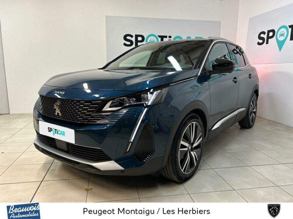 PEUGEOT3008 HYBRID4VO0214742161.jpg