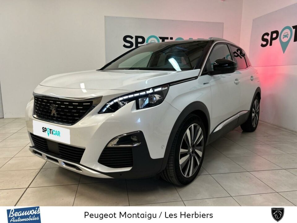 PEUGEOT3008 HYBRID4VO0215792704.jpg