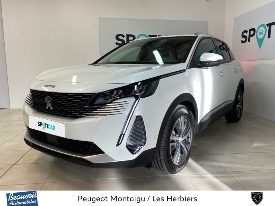 PEUGEOT3008VO020571188.jpg