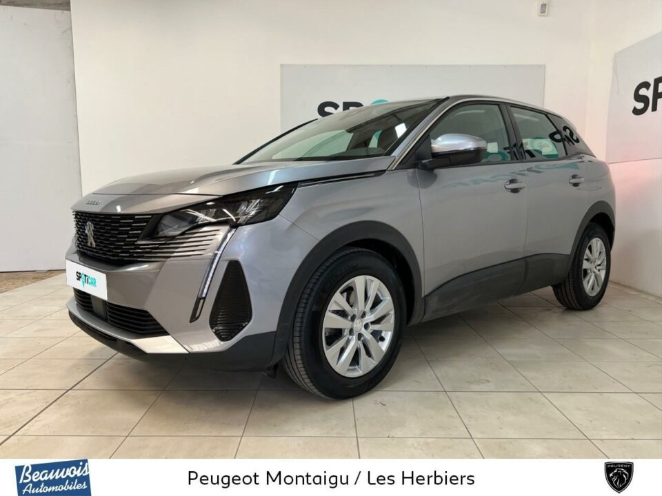 PEUGEOT3008VO021071804.jpg