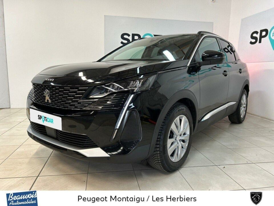 PEUGEOT3008VO0211961361.jpg
