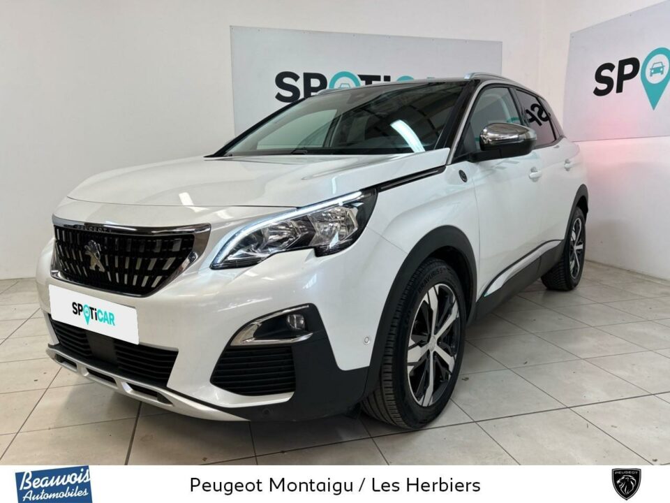 PEUGEOT3008VO0214522004.jpg