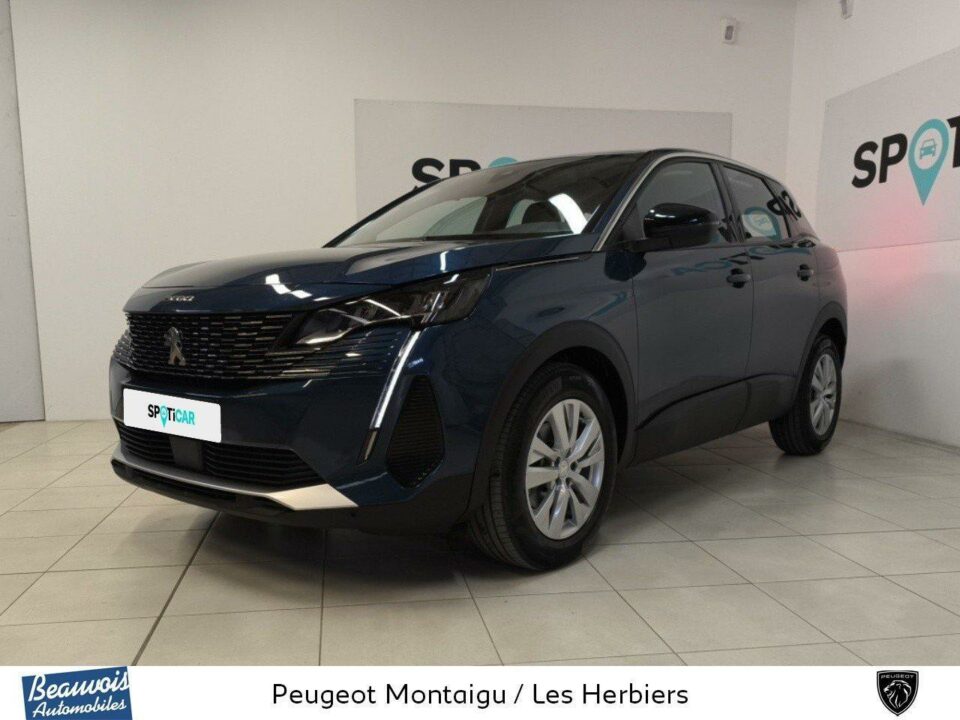 PEUGEOT3008VO0216112861.jpg