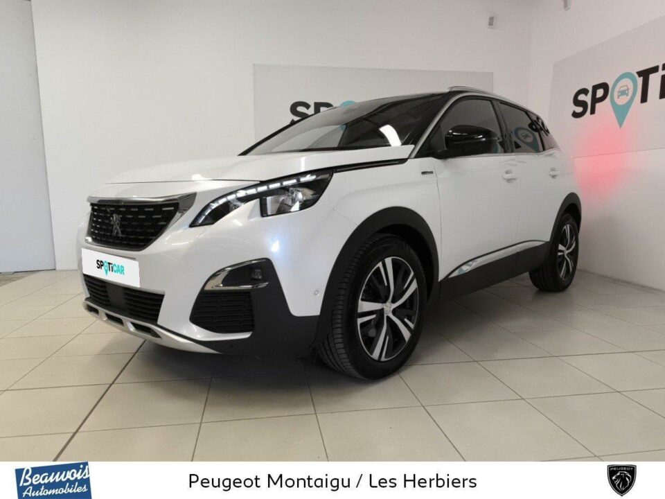 PEUGEOT3008VO0216554377.jpg