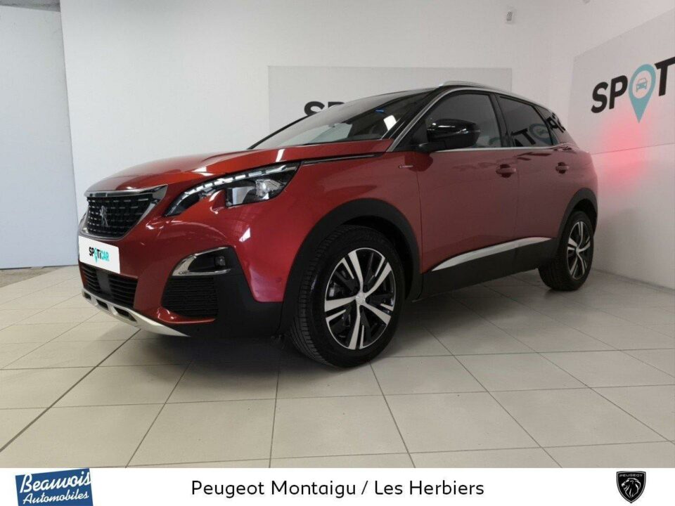 PEUGEOT3008VO0216574480.jpg