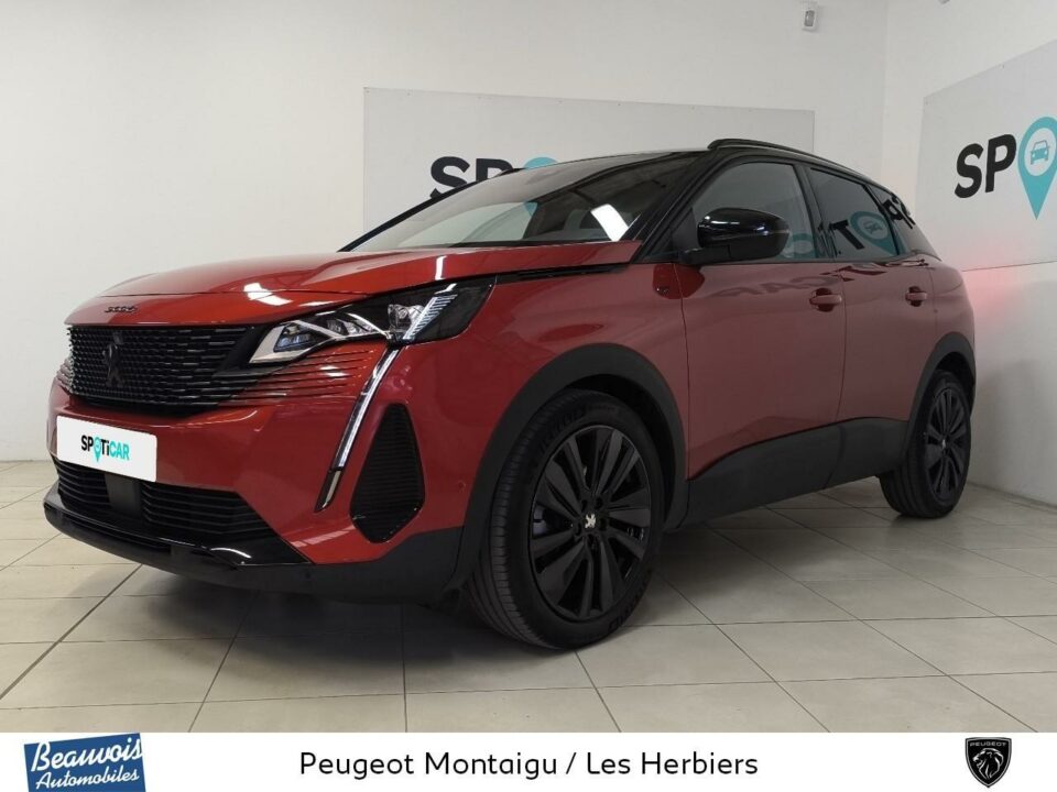 PEUGEOT3008VO0217013913.jpg