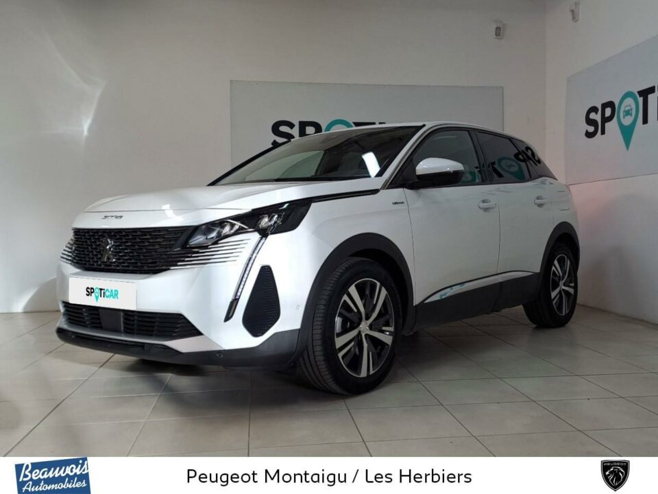 PEUGEOT3008VO0218213590.jpg