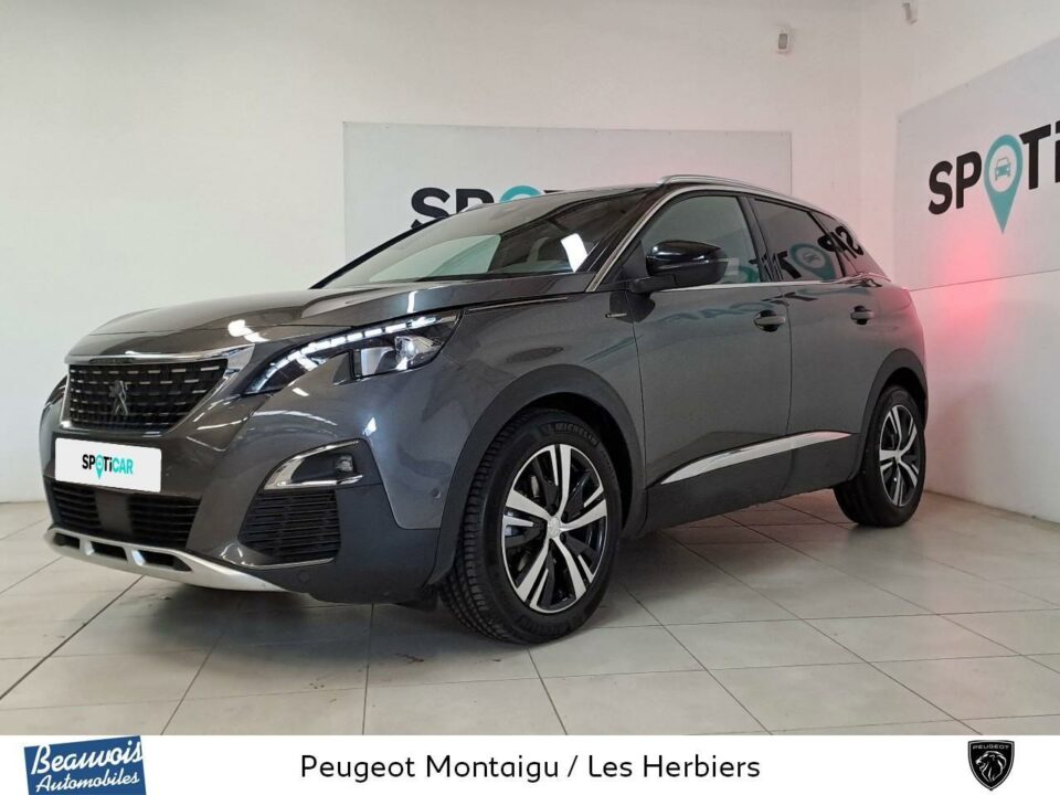 PEUGEOT3008VO0218273517.jpg